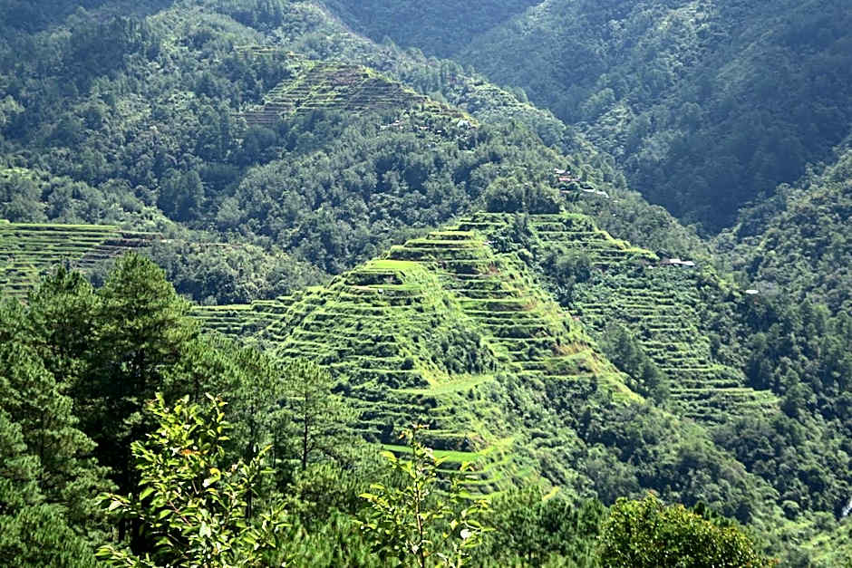 Hiwang Native House Inn & Viewdeck