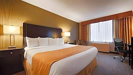 King Room - Pet Friendly/Non-Smoking