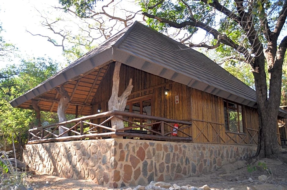 Moholoholo Forest Camp