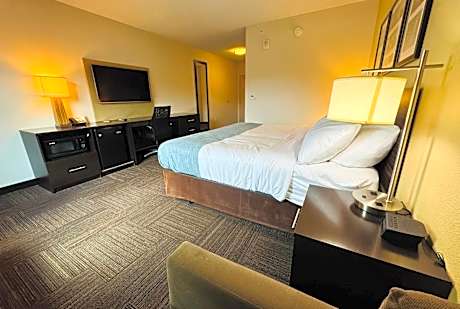 1 King Bed, Mobility/Hearing Accessible Room, Roll-In Shower, Non-Smoking