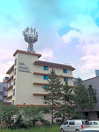 The Hotel Business
