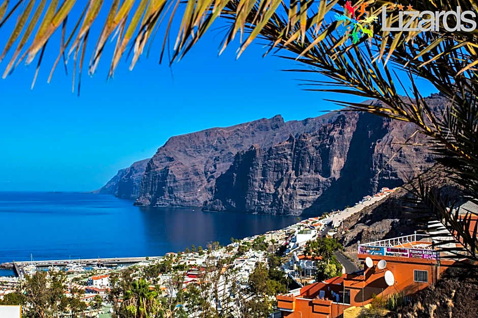 7Lizards - Ocean View Apartments