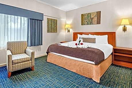 King Suite - Non-Smoking