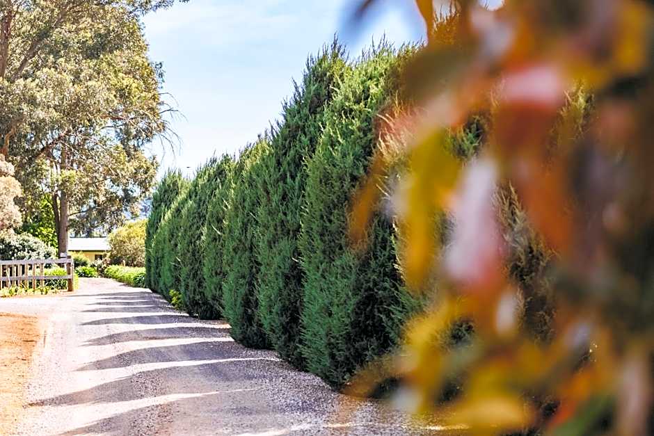 Dalblair Bed & Breakfast