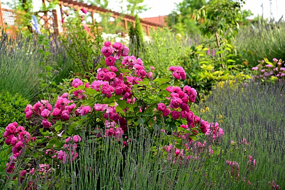 Garni Hotel Lavendelhof