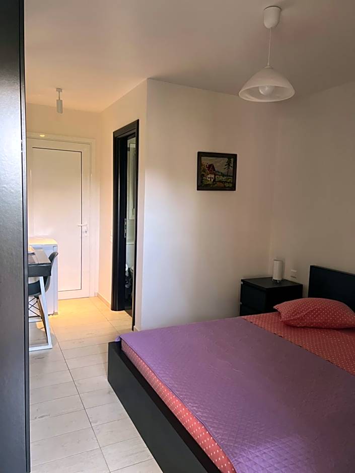 Luxury Studio Artemida