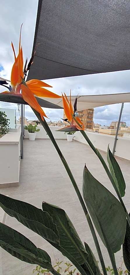 MY HOUSE LUXURY HOME