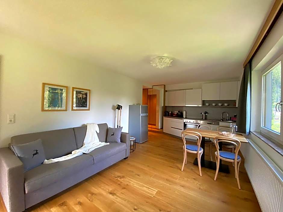 Apartments Hohenberger Mallnitz - Tauernbad und Sauna im Winter inklusive!