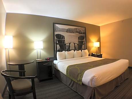 1 King Bed Non-Smoking