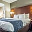 Comfort Suites Pineville - Ballantyne Area