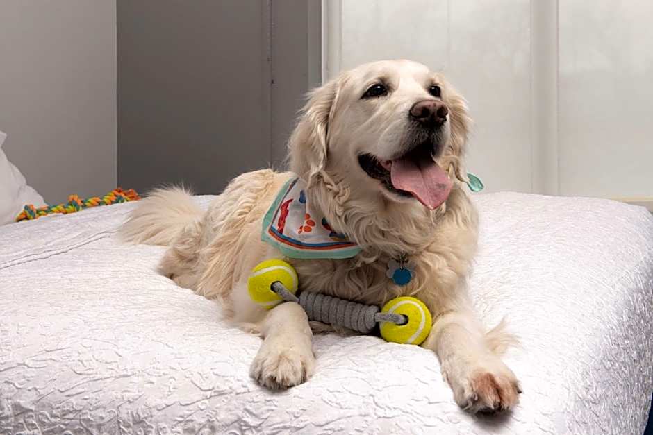 Hampton Inn By Hilton & Suites Rapid City Rushmore, SD