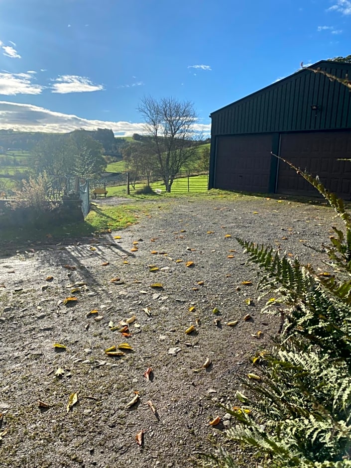 Jacquie's B&B -Dumfries-Room with a view