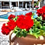 Armonia Hotel by Zante Plaza