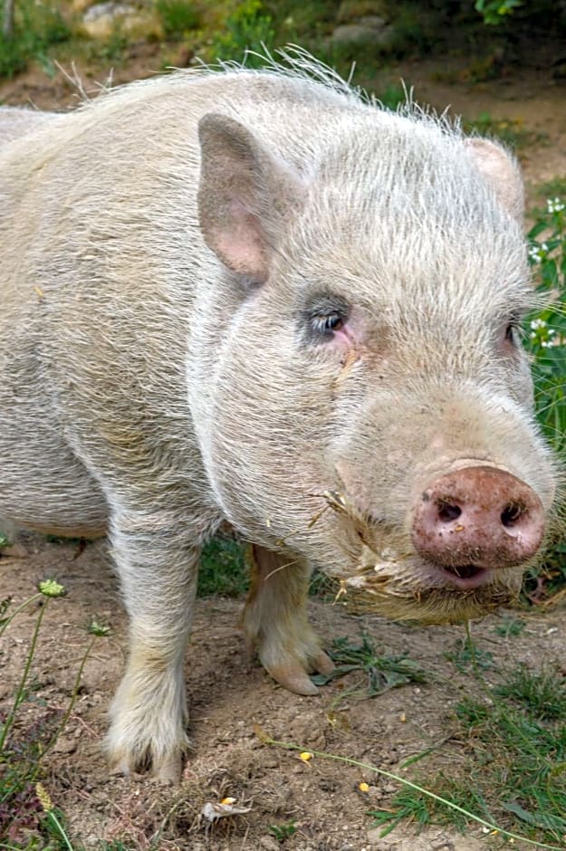 La Maison de Fleurat