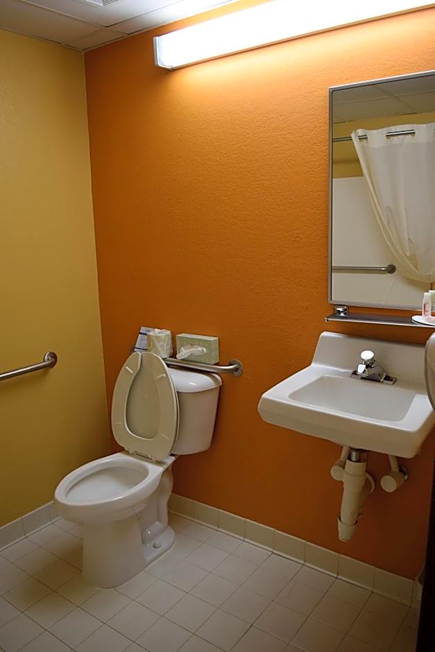 Microtel Inn & Suites by Wyndham Rock Hill/Charlotte Area