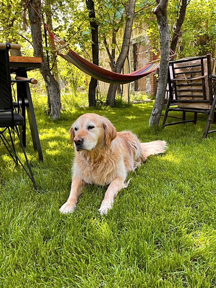 Miro Mara Boutique Hotel & Lounge Bar