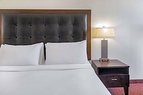 1 King Bed, Non-Smoking