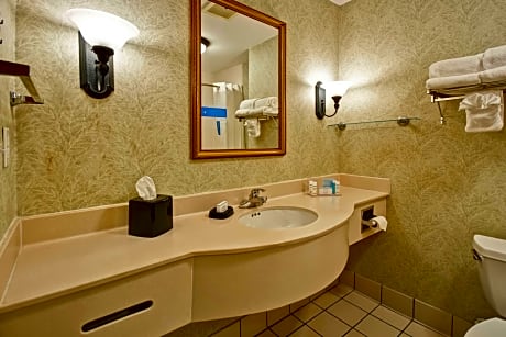 2 Queen Mobility Accessible Roll In Shower