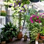 Loft de Cannes B&B