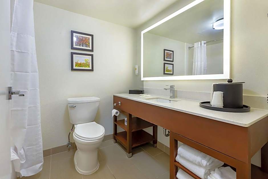 Comfort Suites Hanes Mall