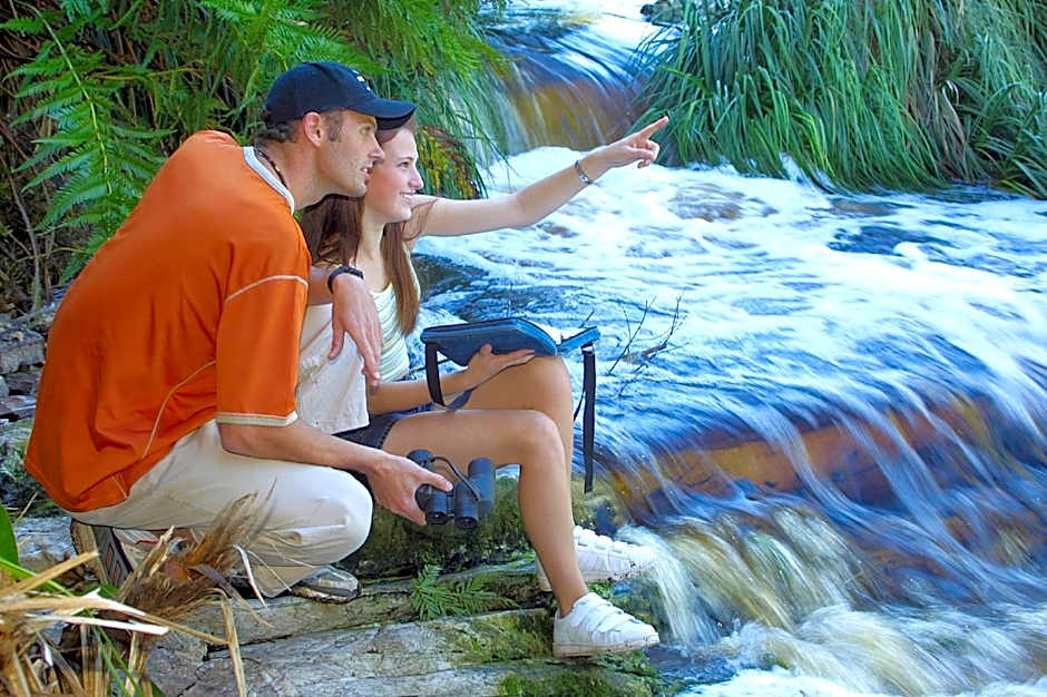 The Fernery Lodge & Spa