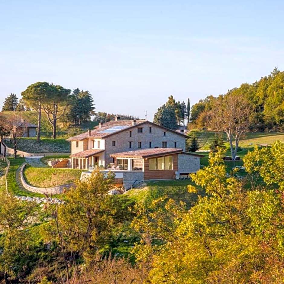 Aura Relais