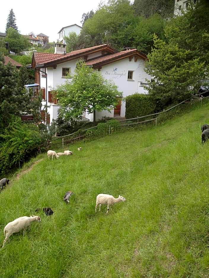 Bed & Breakfast La Val