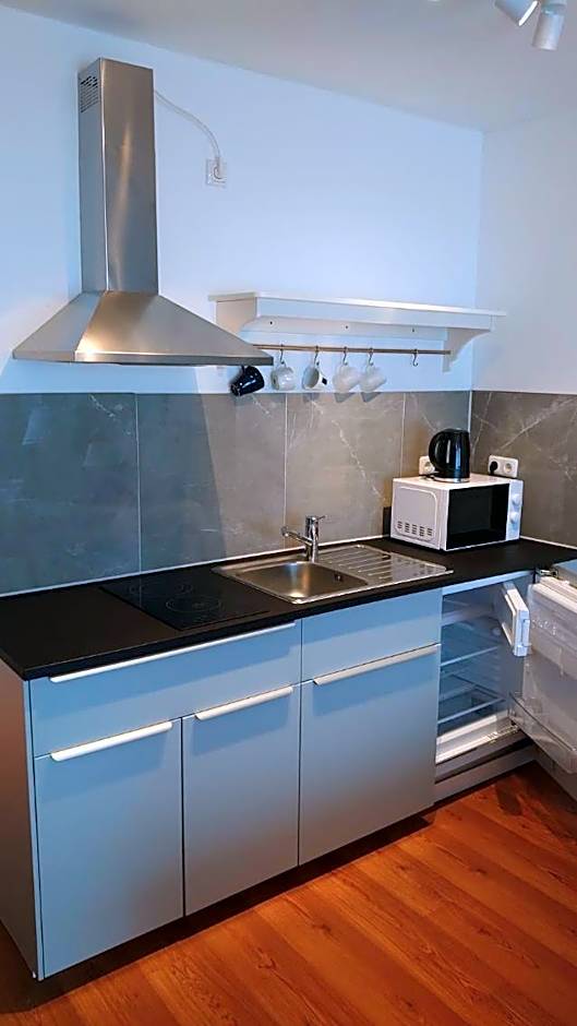 Maxim Apartments Mainz