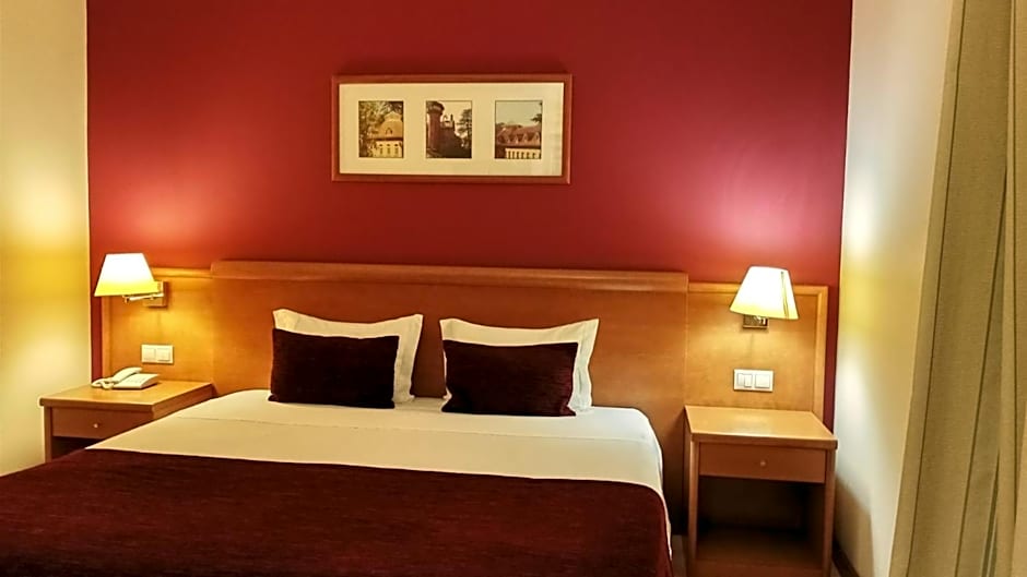Hotel Monte Rio Aguieira