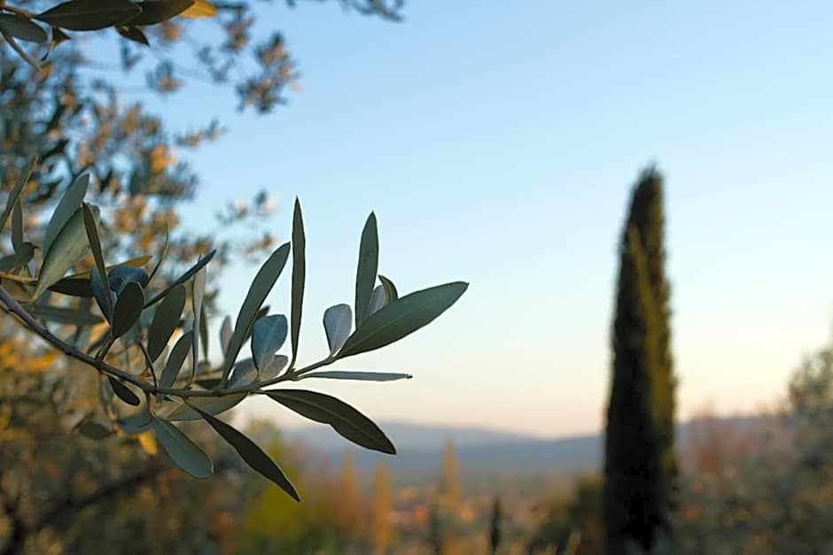Villa Degli Ulivi