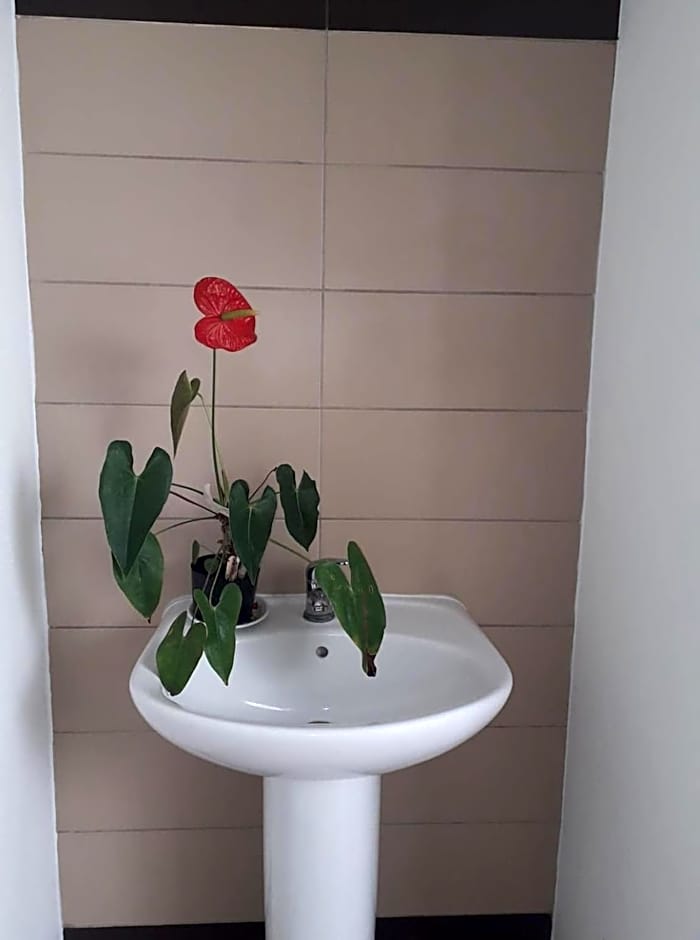 Pés Verdes-Alojamento e Chá