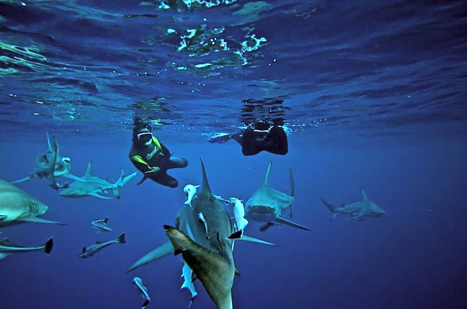 Cybele Lodge Boutique Bed and Breakfast