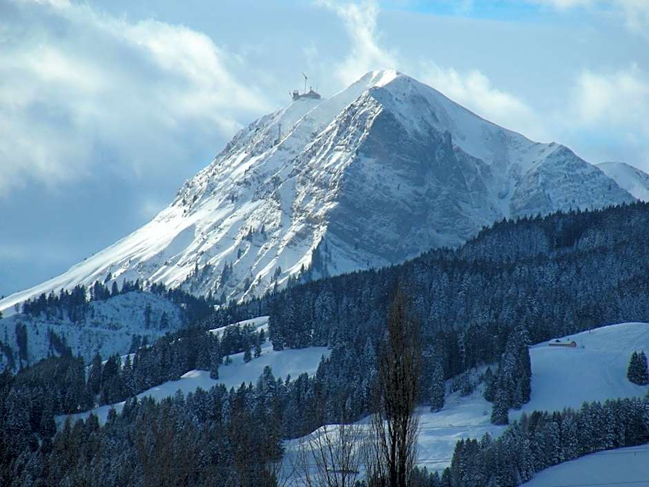 ibis Bulle - La Gruyère