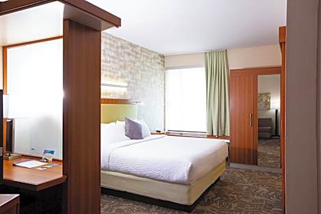 Studio, 1 King Bed with Sofa bed (Hearing Accessible) (1 King Bed and 1 Double Sofa Bed)