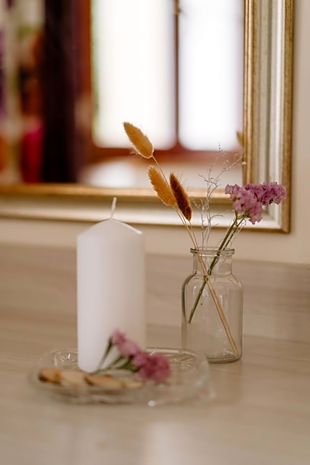 Willa Brygida Spa