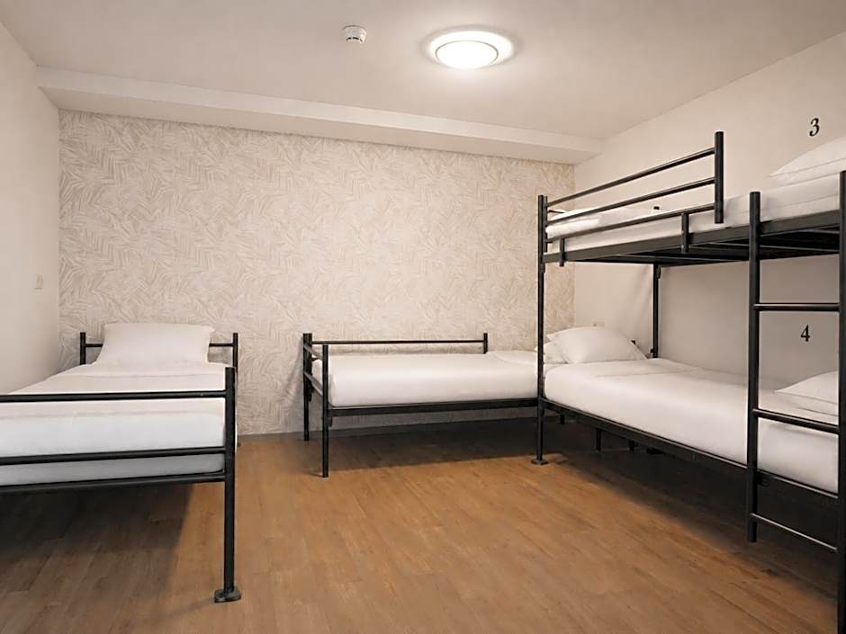 King's Inn City Hostel Alkmaar
