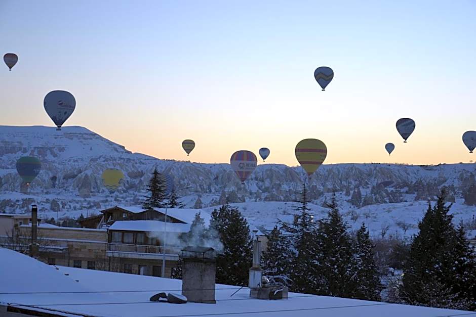 ShoeString Stone House