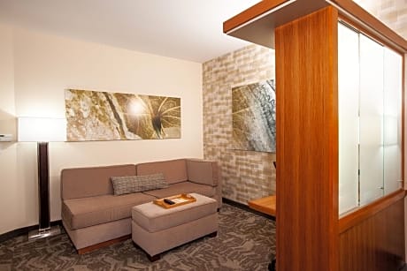 Studio, Multiple Beds (2 Queen Beds and 1 Double Sofa Bed)