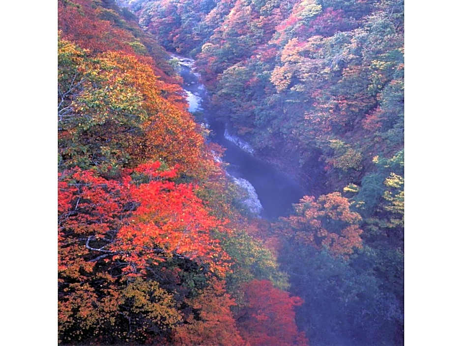 Oyasukyo Onsen Ryokan Tarobee - Vacation STAY 56764v