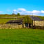 Bryn Teg Barn