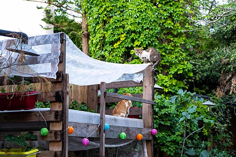 Chania Hostel Youth 18-50