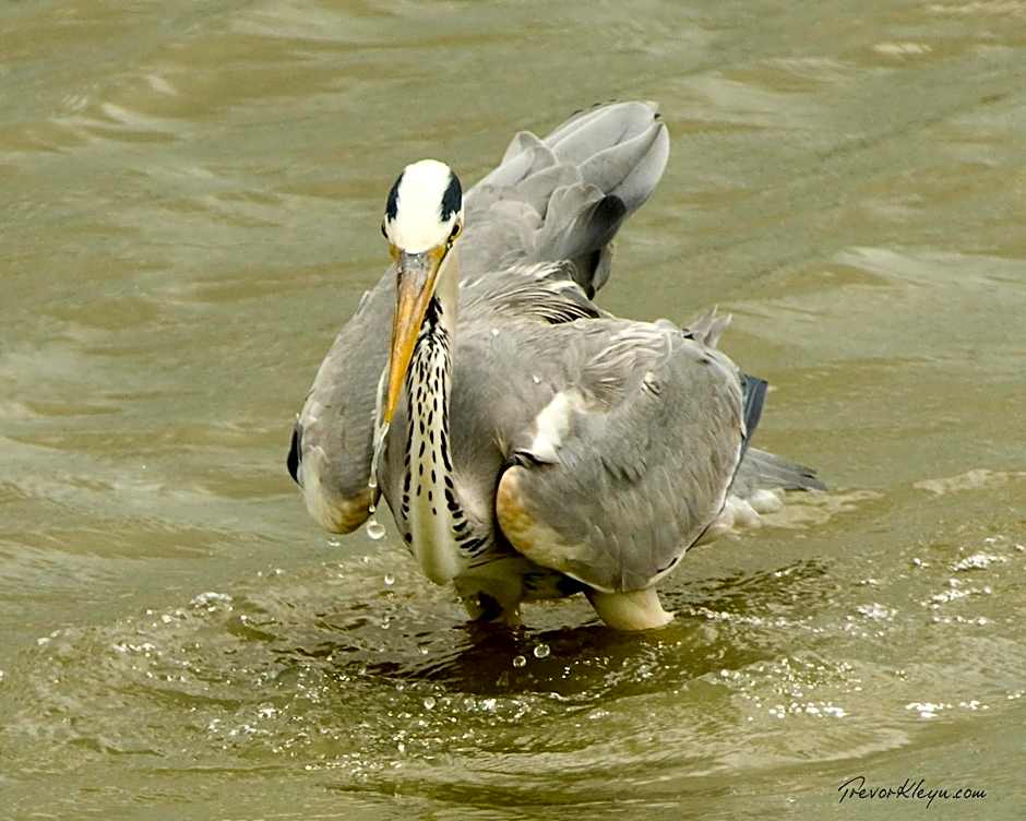 Umzolozolo Private Safari Lodge & Spa