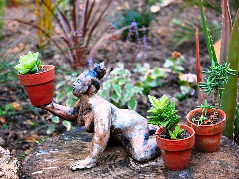 Bamboo, the Guesthouse