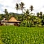 Uma Nirmala Aling-Aling