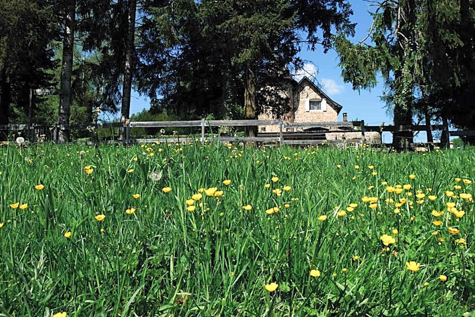 Manoir de Chantemerle