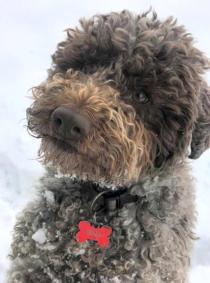 1929 Wine Food Relax Agriturismo