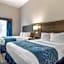 Comfort Suites McDonough Atlanta South