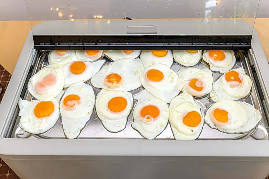 Hotel Casa Viorel jacuzzi & saunas