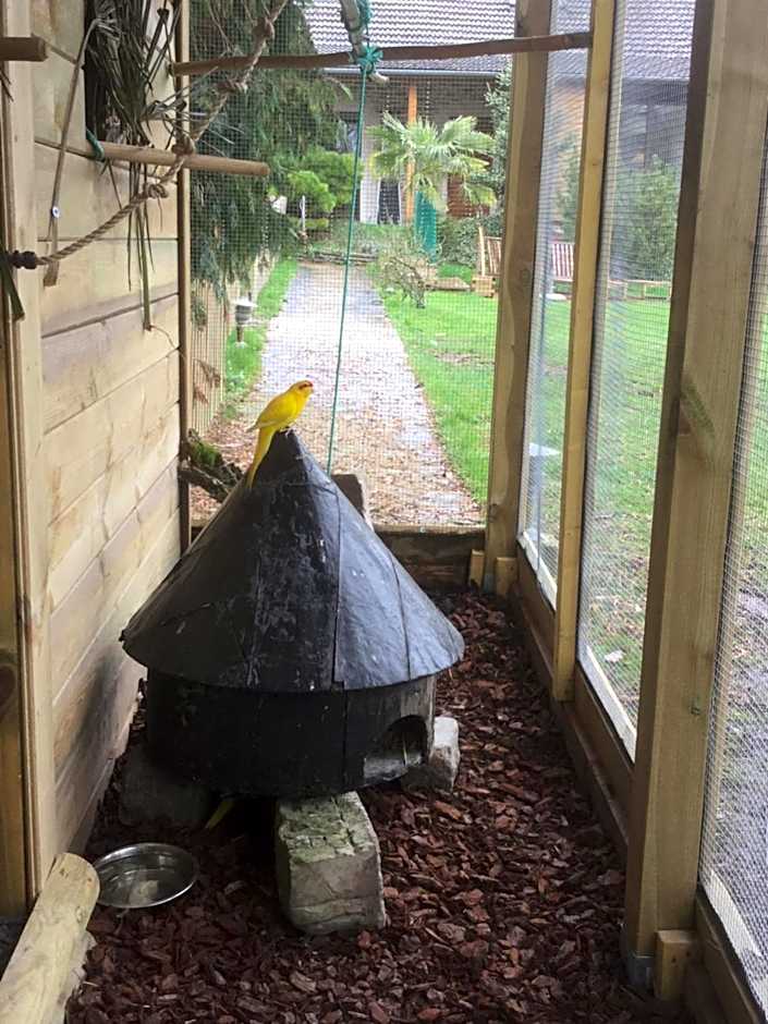 Les Crinieres En Brie