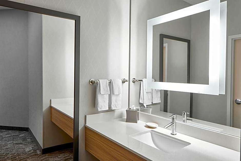 SpringHill Suites by Marriott Memphis Downtown